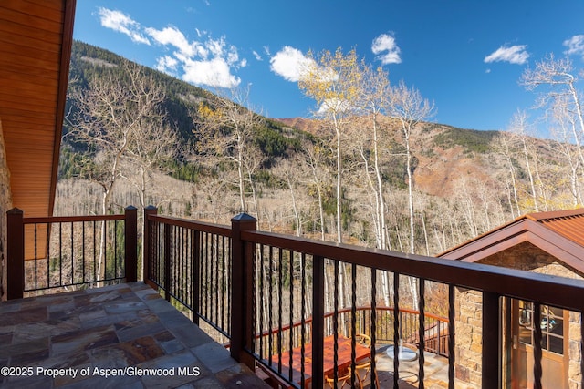 6770 Castle Creek Rd, Aspen, CO 81611 - photo 49