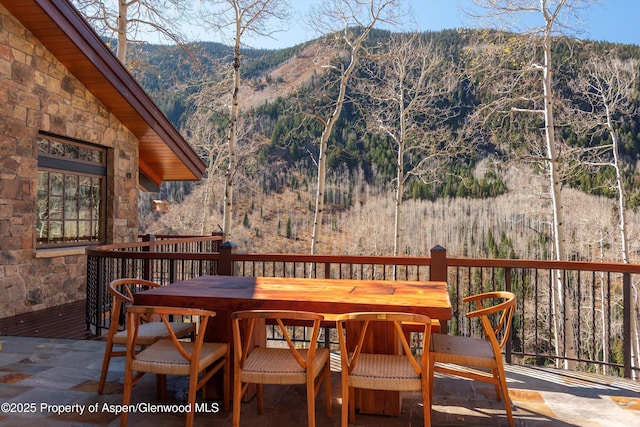 6770 Castle Creek Rd, Aspen, CO 81611 - photo 42