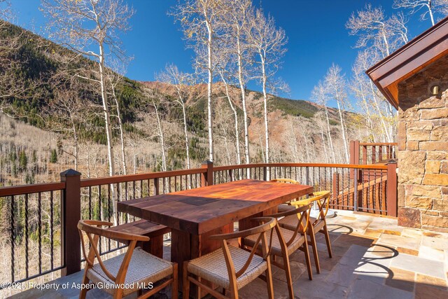 6770 Castle Creek Rd, Aspen, CO 81611 - photo 43