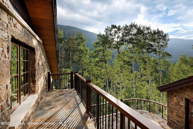 6770 Castle Creek Rd, Aspen, CO 81611 - photo 39