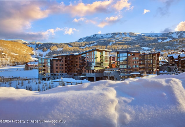 77 Wood Rd Unit 306-05, Snowmass Village, CO 81615 - photo 16