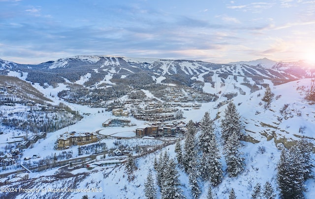 77 Wood Rd Unit 306-05, Snowmass Village, CO 81615 - photo 12