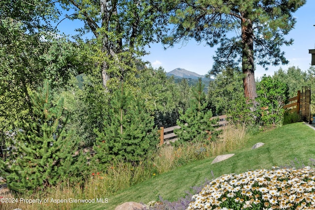 view of yard with a mountain view