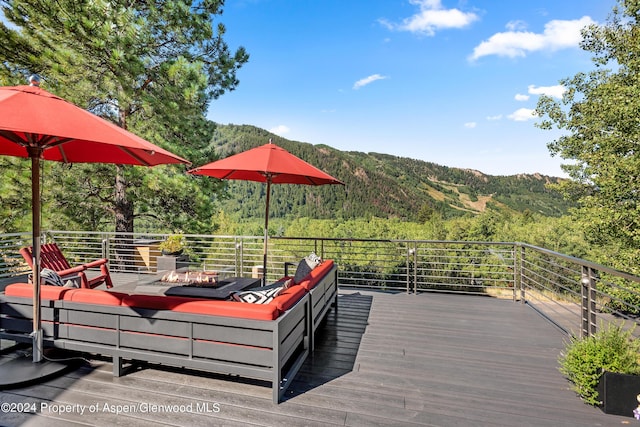 552 Mountain Laurel Dr, Aspen, CO 81611 - photo 47