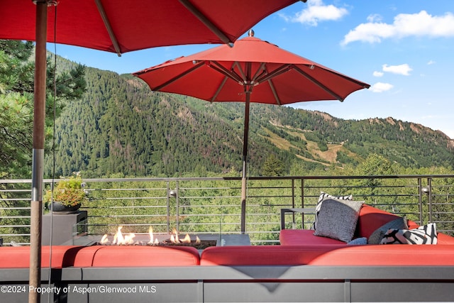 552 Mountain Laurel Dr, Aspen, CO 81611 - photo 44