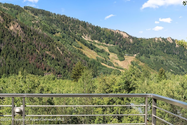 552 Mountain Laurel Dr, Aspen, CO 81611 - photo 45