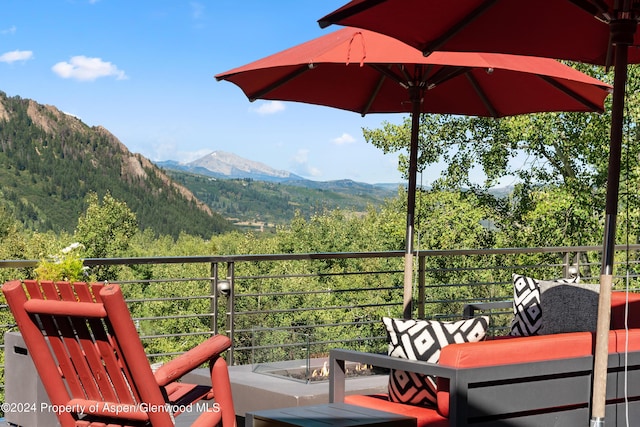 552 Mountain Laurel Dr, Aspen, CO 81611 - photo 43