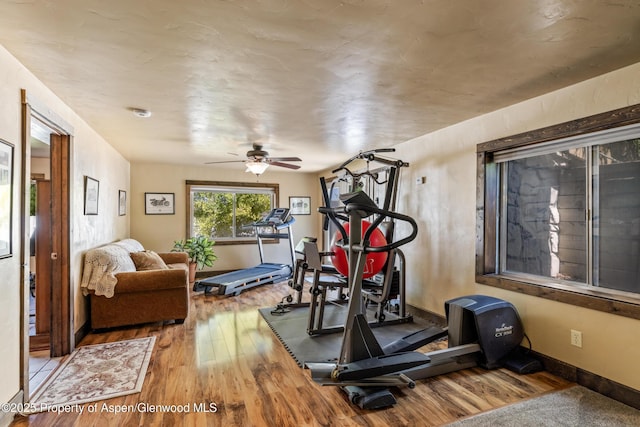 270 Harvest Dr, Hayden, CO 81639 - photo 40
