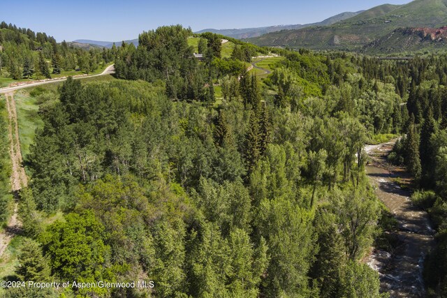 TBD Tiehack Road, Aspen, CO 81611 - photo 22