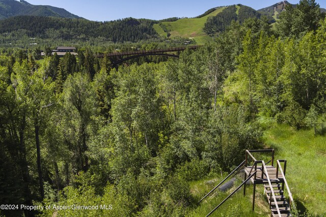 TBD Tiehack Road, Aspen, CO 81611 - photo 5