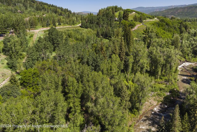 TBD Tiehack Road, Aspen, CO 81611 - photo 21