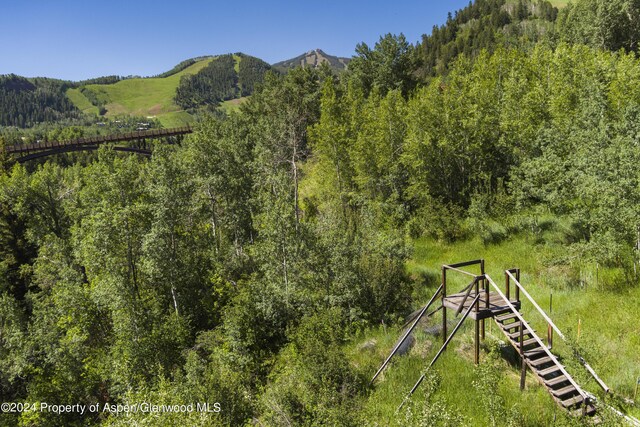 TBD Tiehack Road, Aspen, CO 81611 - photo 4