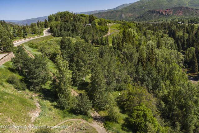 TBD Tiehack Road, Aspen, CO 81611 - photo 23