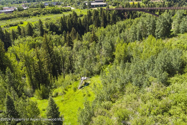 TBD Tiehack Road, Aspen, CO 81611 - photo 14