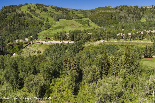 TBD Tiehack Road, Aspen, CO 81611 - photo 17