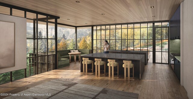 TBD Tiehack Road, Aspen, CO 81611 - photo 12
