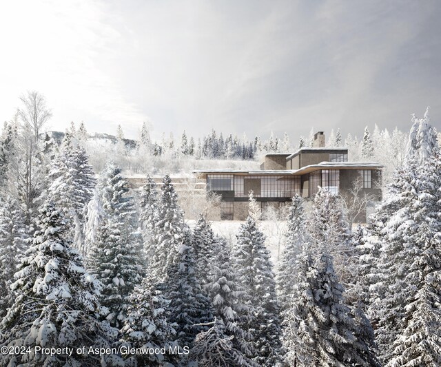 TBD Tiehack Road, Aspen, CO 81611 - photo 10