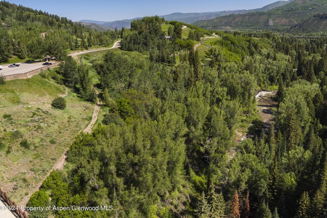 TBD Tiehack Road, Aspen, CO 81611 - photo 19