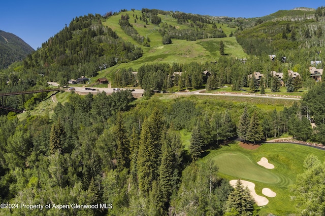 TBD Tiehack Road, Aspen, CO 81611 - photo 1