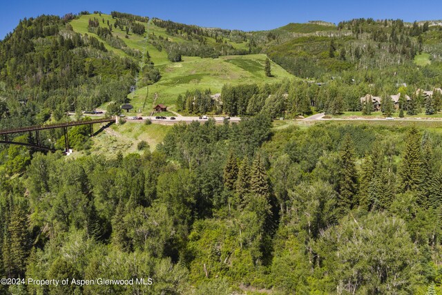 TBD Tiehack Road, Aspen, CO 81611 - photo 6