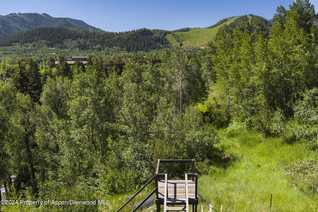TBD Tiehack Road, Aspen, CO 81611 - photo 13