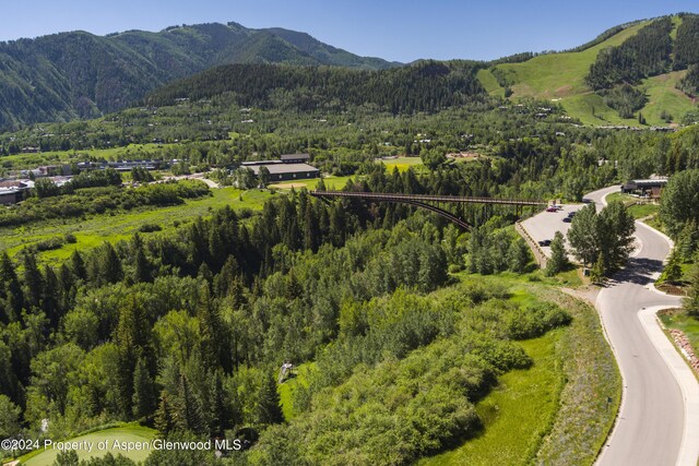 TBD Tiehack Road, Aspen, CO 81611 - photo 16