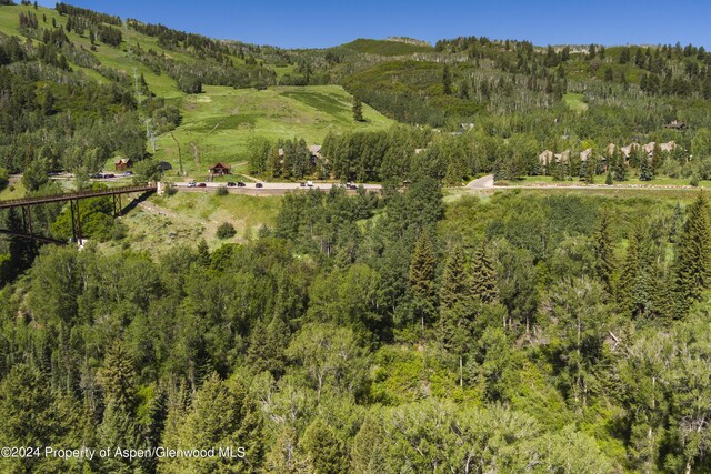 TBD Tiehack Road, Aspen, CO 81611 - photo 18