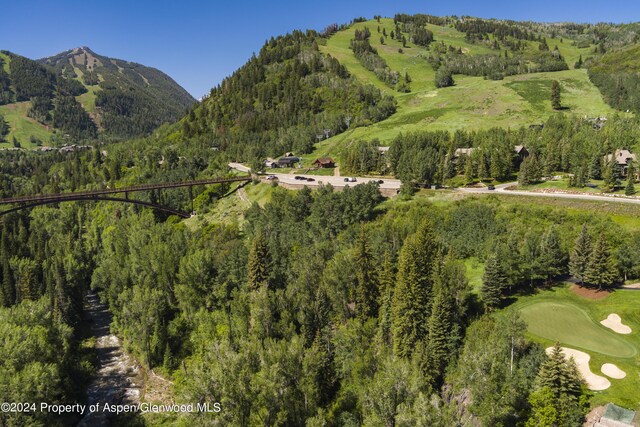 TBD Tiehack Road, Aspen, CO 81611 - photo 15