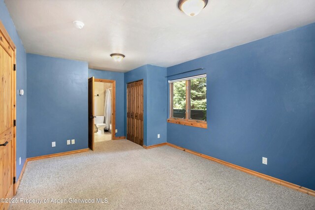 110 Easy St, Carbondale, CO 81623 - unfurnished bedroom with carpet flooring, connected bathroom, and a closet