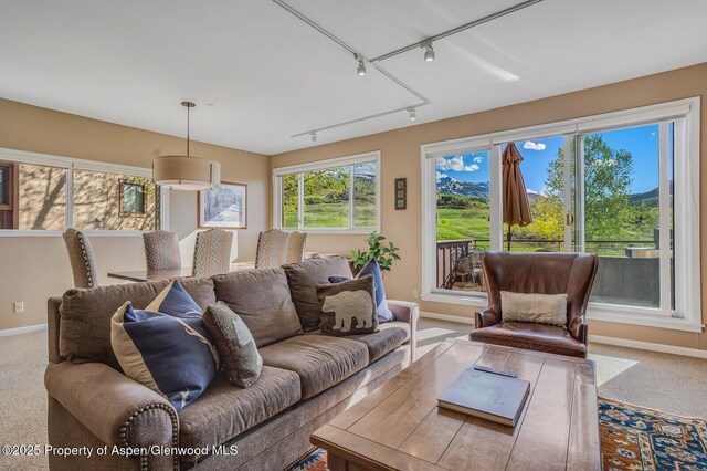 150 Snowmass Club Cir Unit 1623, Snowmass Village, CO 81615 - carpeted living room with track lighting and baseboards