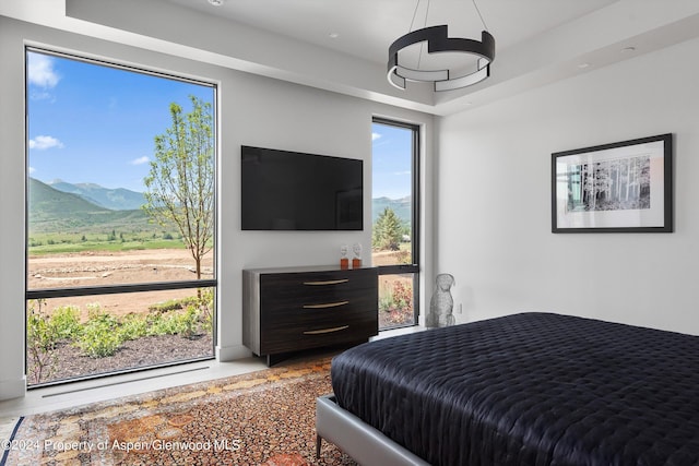 bedroom with a raised ceiling and multiple windows