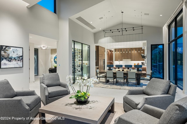 living room featuring high vaulted ceiling