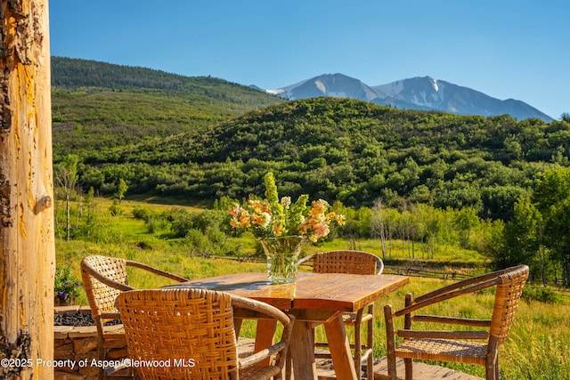 1350 Old Herron Rd, Basalt, CO 81621 - mountain view with a heavily wooded area