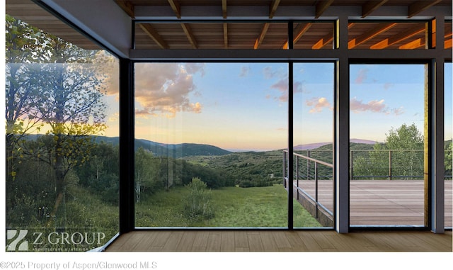 1350 Old Herron Rd, Basalt, CO 81621 - entryway with floor to ceiling windows, a mountain view, plenty of natural light, beamed ceiling, and wood finished floors