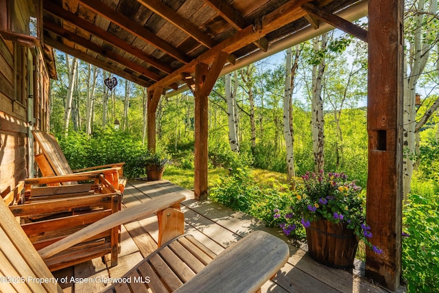 1350 Old Herron Rd, Basalt, CO 81621 - view of wooden terrace