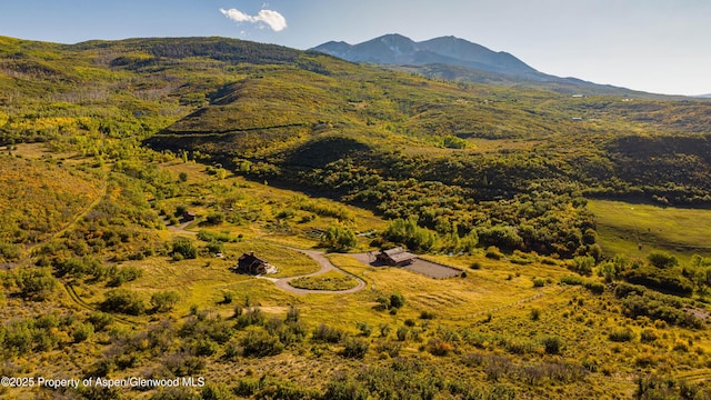 1350 Old Herron Rd, Basalt, CO 81621 - mountain view