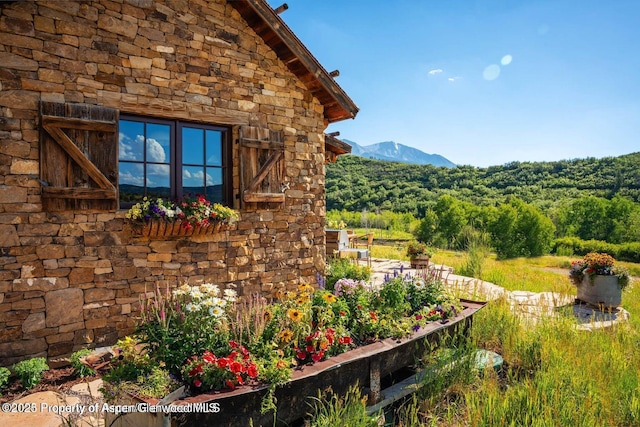 1350 Old Herron Rd, Basalt, CO 81621 - view of mountain backdrop