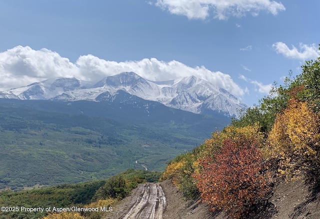 1350 Old Herron Rd, Basalt, CO 81621 - mountain view
