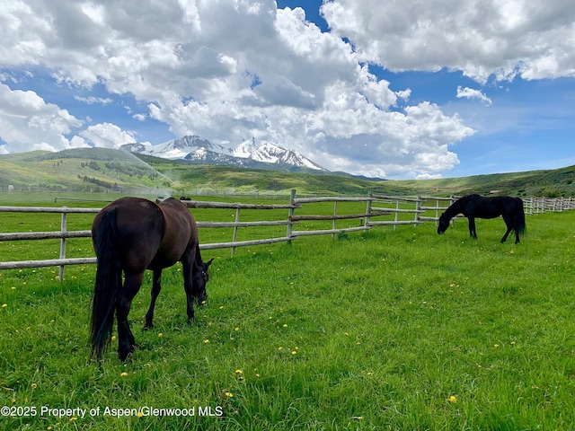 1350 Old Herron Rd, Basalt, CO 81621 - horse barn featuring a view of countryside, a mountain view, and heating fuel