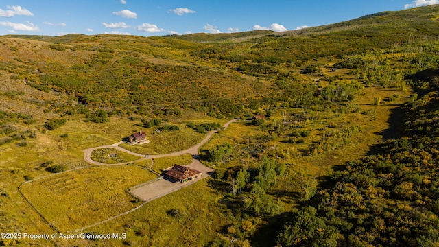 1350 Old Herron Rd, Basalt, CO 81621 - aerial view of property's location with mountains