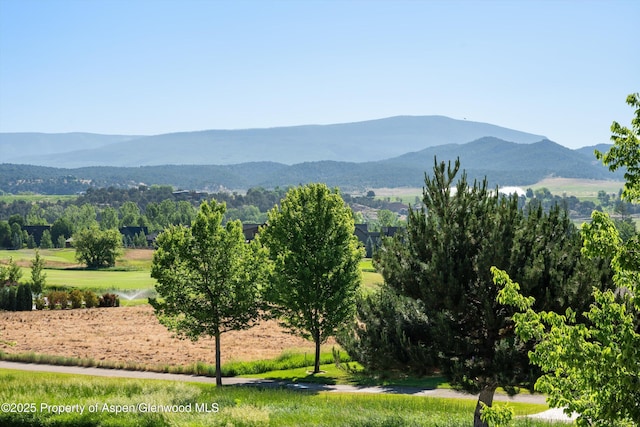 769 Perry Ridge Rdg, Carbondale, CO 81623 - photo 8