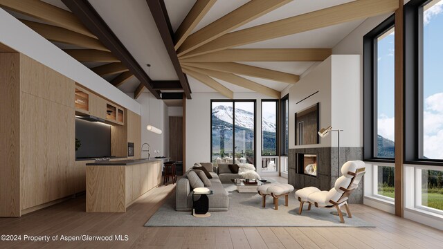 living room featuring lofted ceiling with beams and light hardwood / wood-style flooring