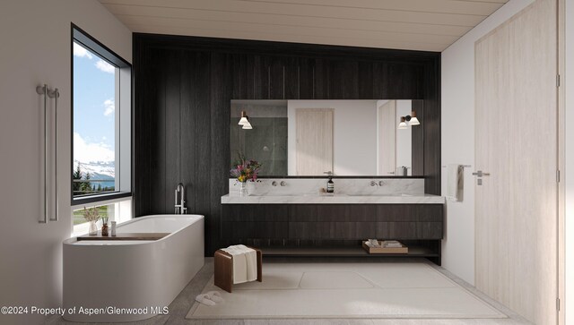 bathroom featuring a washtub, vanity, and a healthy amount of sunlight