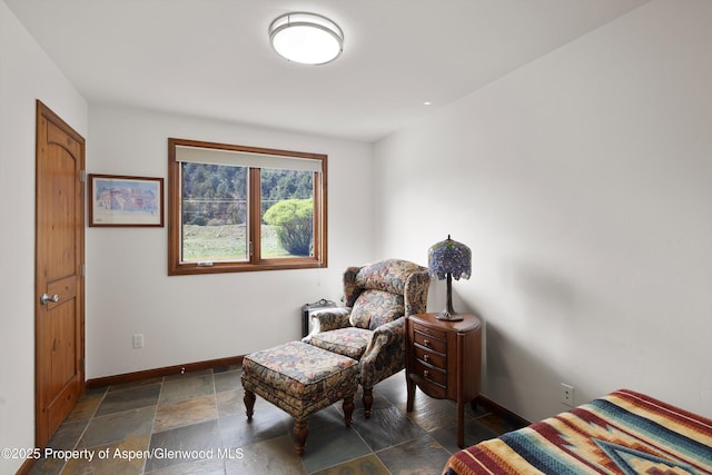 living area featuring baseboards and stone tile flooring