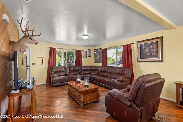 living room featuring dark hardwood / wood-style flooring