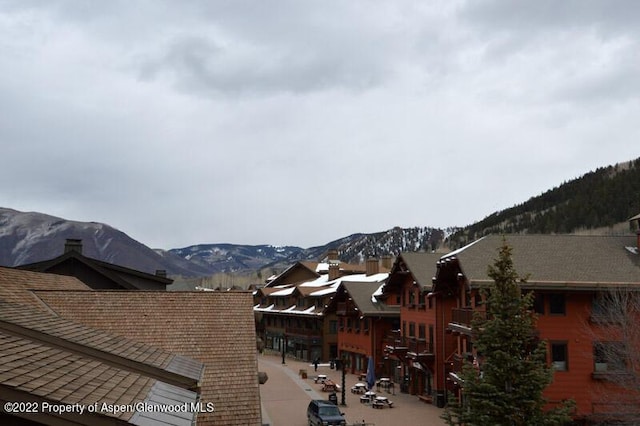 0039 Boomerang Rd Unit 8310Summer Interest, Aspen, CO 81611 - photo 25