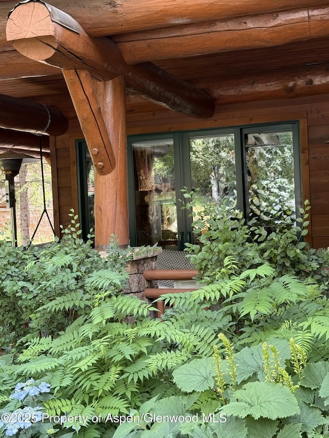 87 Thunderbowl Ln, Aspen, CO 81611 - detailed view