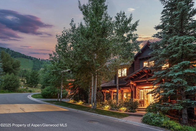 87 Thunderbowl Ln, Aspen, CO 81611 - photo 87