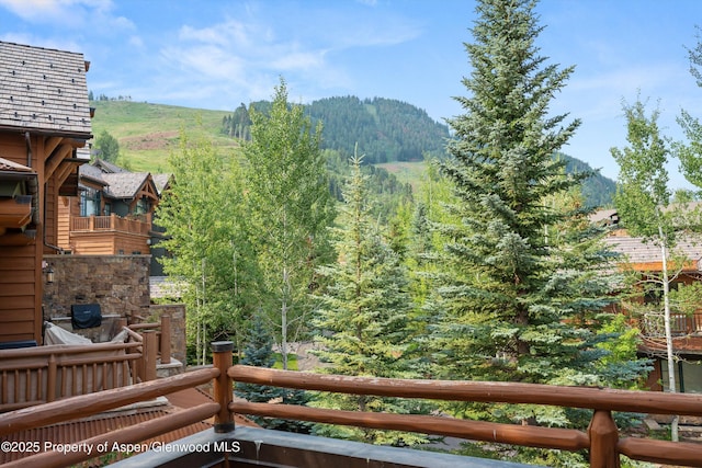 87 Thunderbowl Ln, Aspen, CO 81611 - photo 48