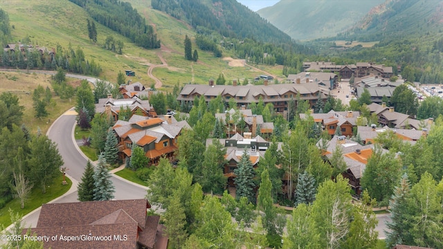 87 Thunderbowl Ln, Aspen, CO 81611 - photo 75